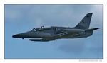 Aero L-159 ALCA