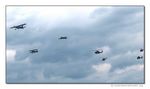 Flying Bulls Formation