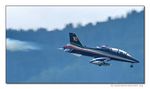 Frecce Tricolori - Aermacchi MB-339 PAN