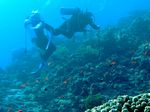 Taucher - Diver