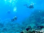 Taucher - Divers